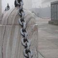 IMG_0800